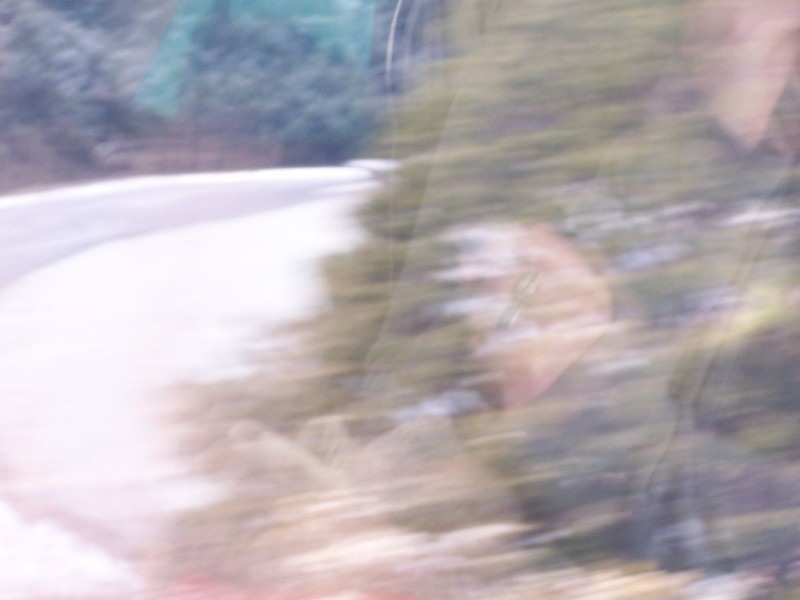 100_6303.JPG
