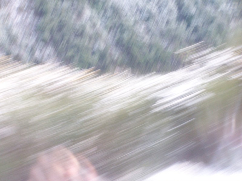 100_6306.JPG