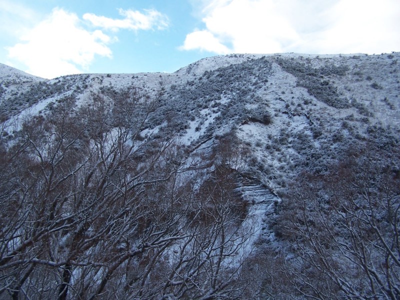 100_6310.JPG