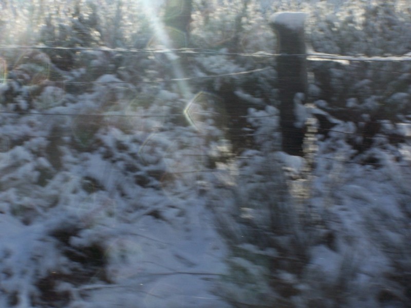 100_6317.JPG