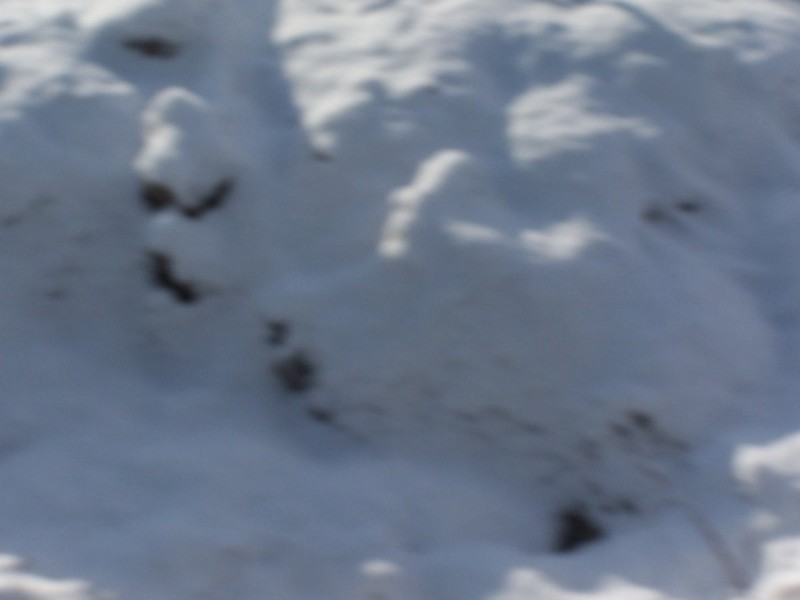 100_6319.JPG