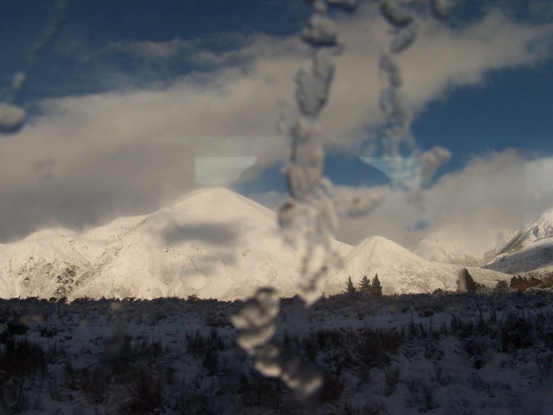 100_6355.JPG