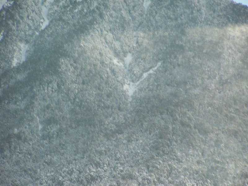 100_6383.JPG