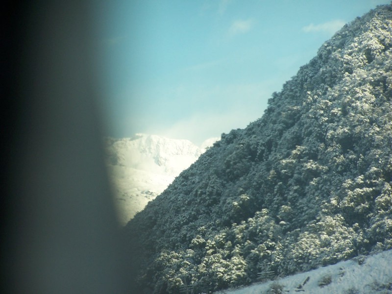 100_6390.JPG
