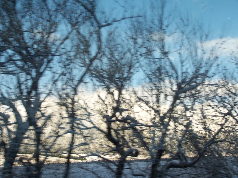 100_6406.JPG