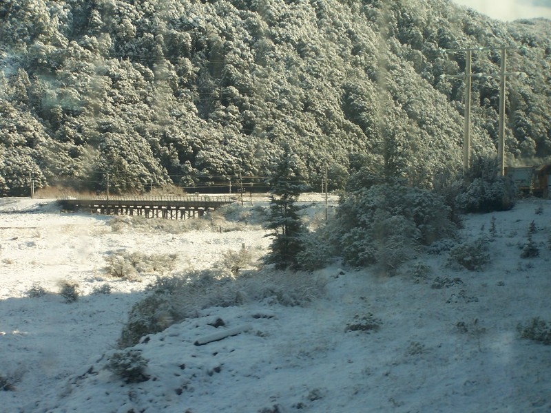 100_6421.JPG