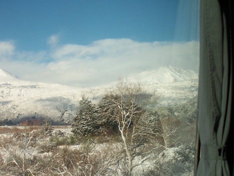 100_6424.JPG