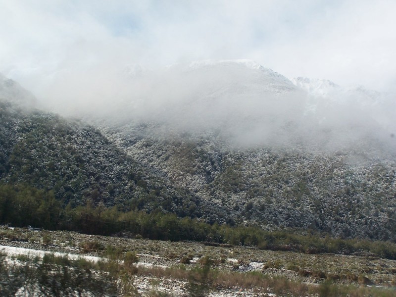 100_6459.JPG