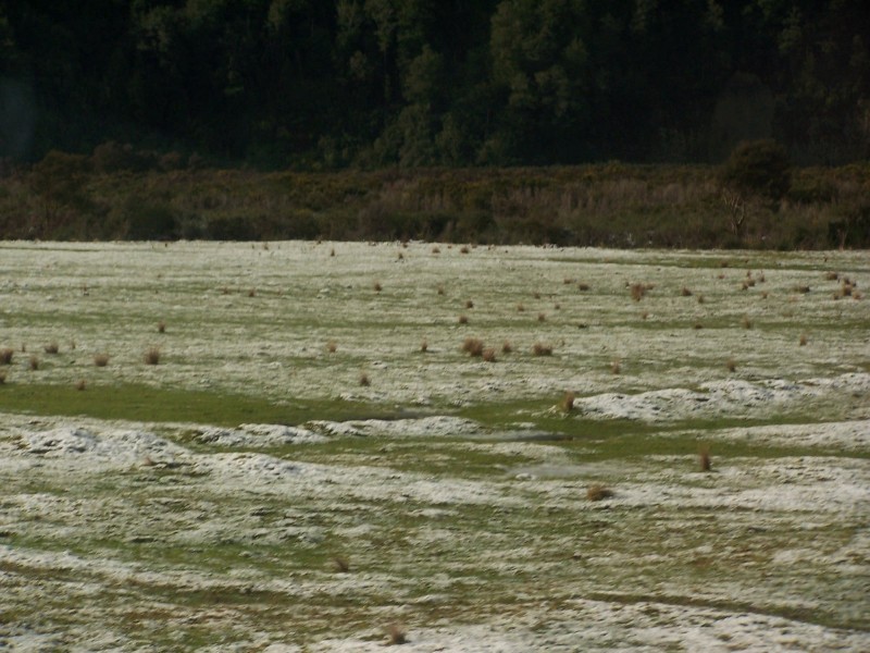 100_6466.JPG