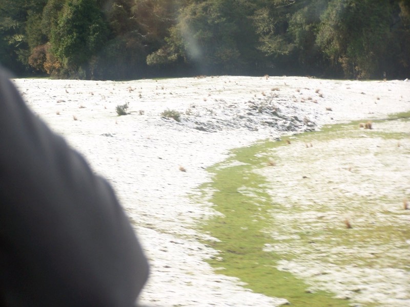 100_6467.JPG