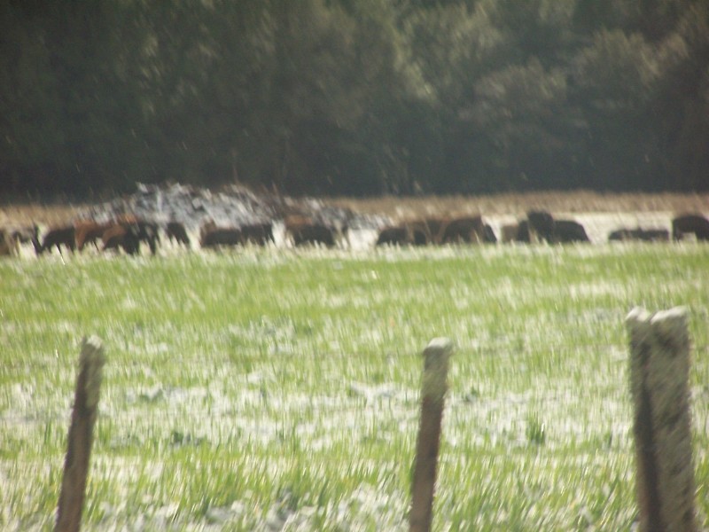 100_6473.JPG