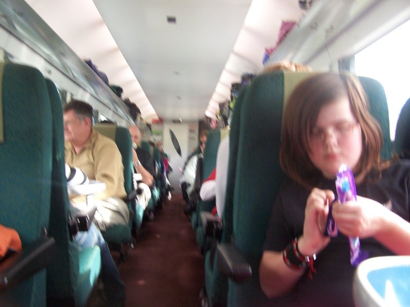 100_6484.JPG