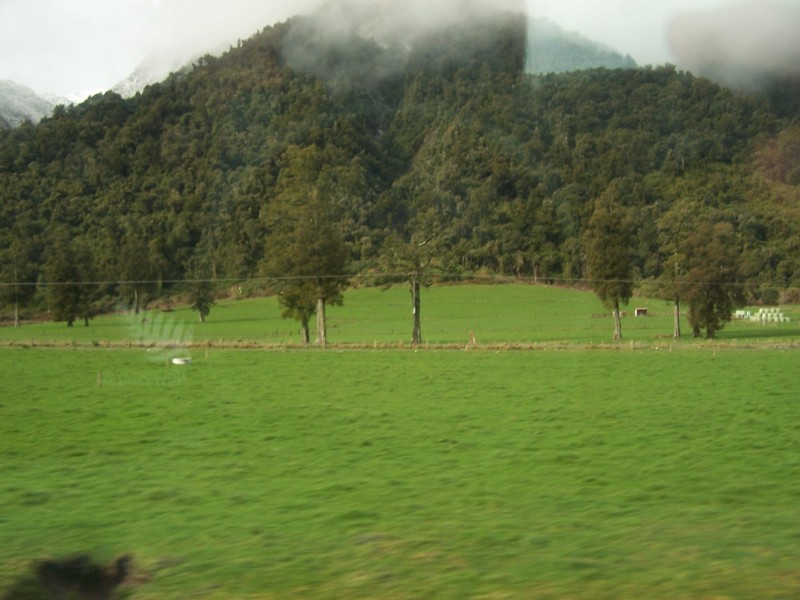 100_6509.JPG