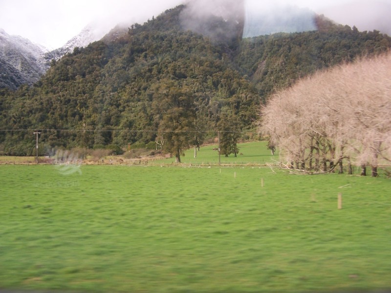 100_6510.JPG