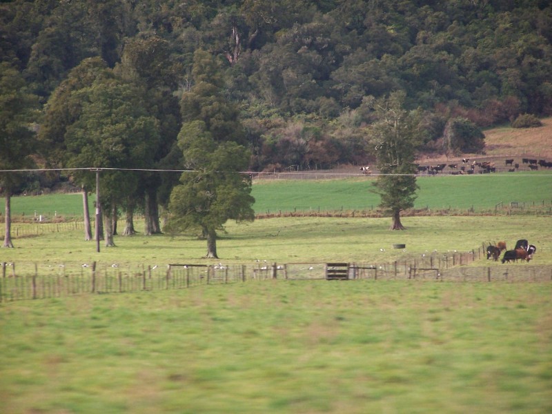 100_6516.JPG