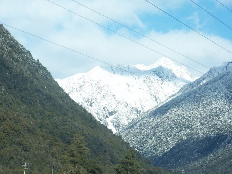 100_6550.JPG