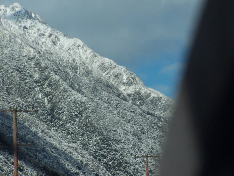 100_6559.JPG