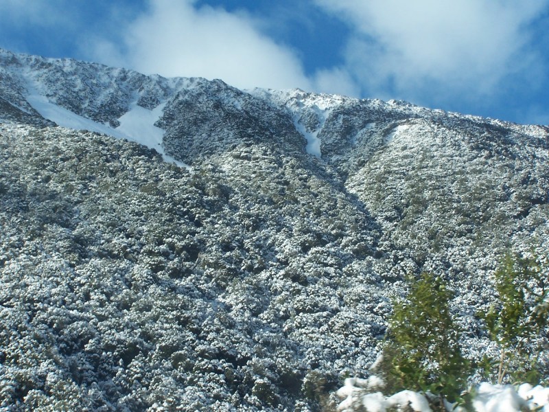 100_6563.JPG