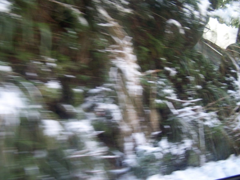 100_6584.JPG