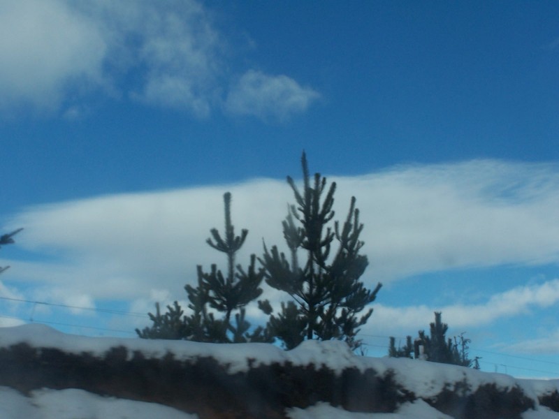 100_6619.JPG