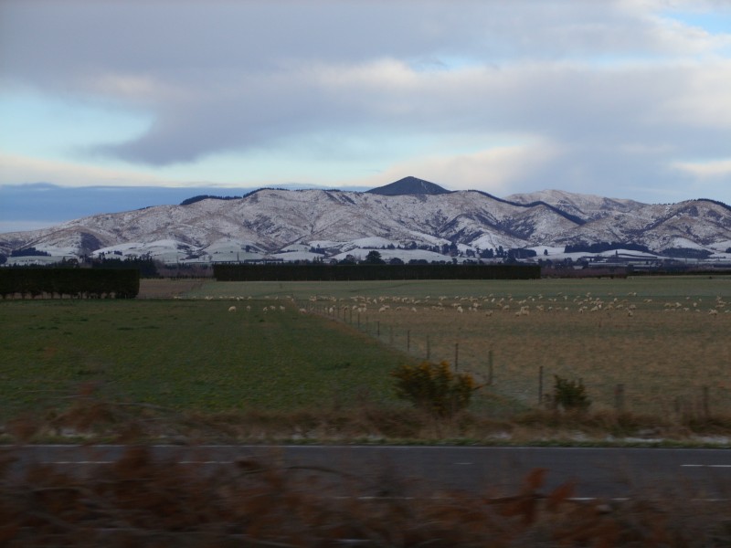 SS850592.JPG