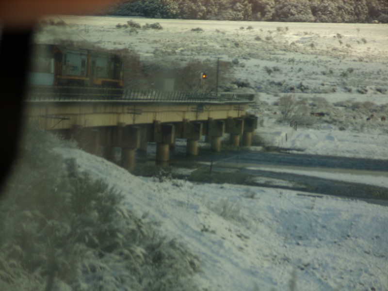 SS850661.JPG