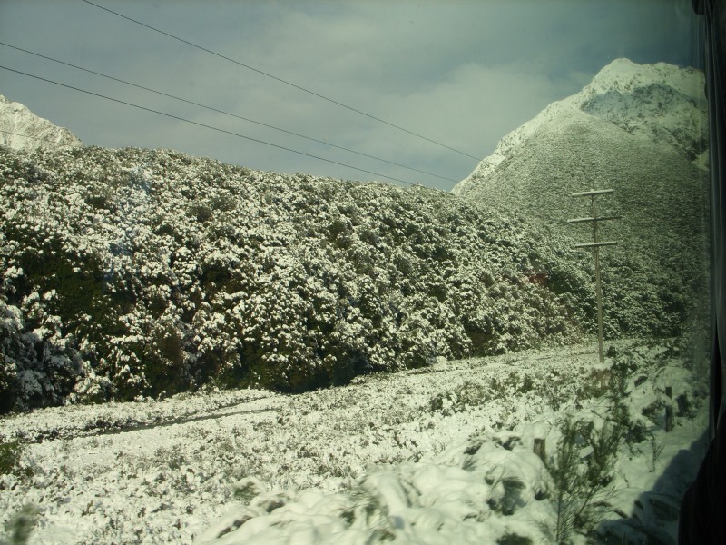 SS850713.JPG