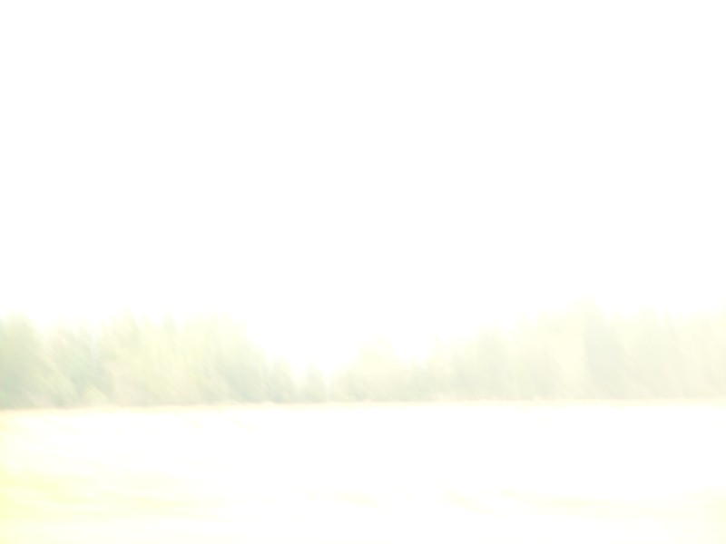 SS850789.JPG