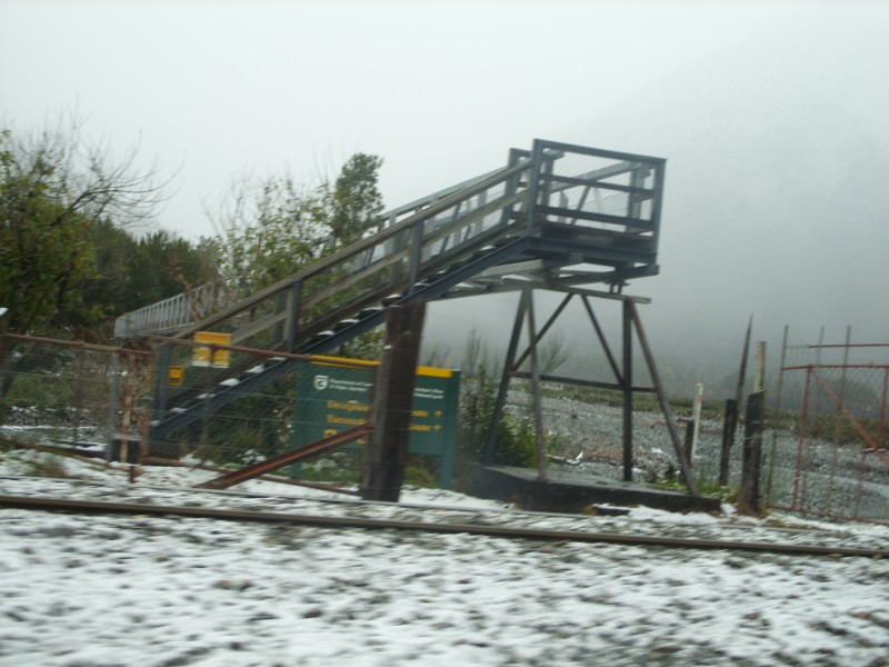 SS850809.JPG