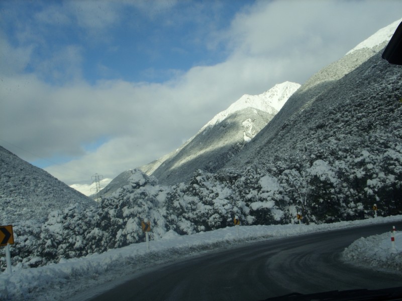 SS850861.JPG