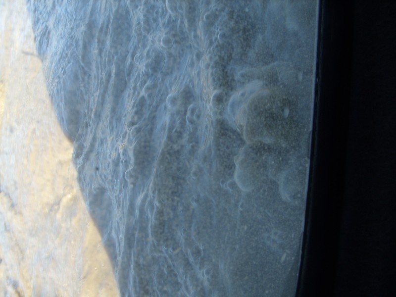SS850987.JPG