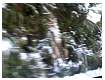 100_6584_286.JPG