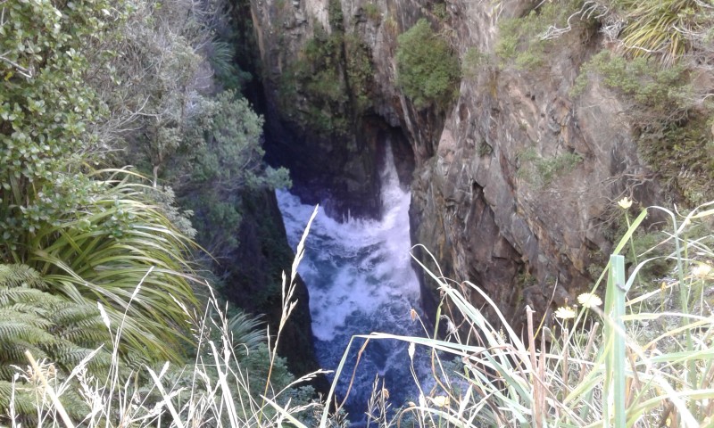 20160306_121852.jpg
