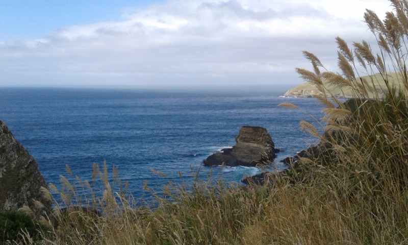 20160306_123921.jpg