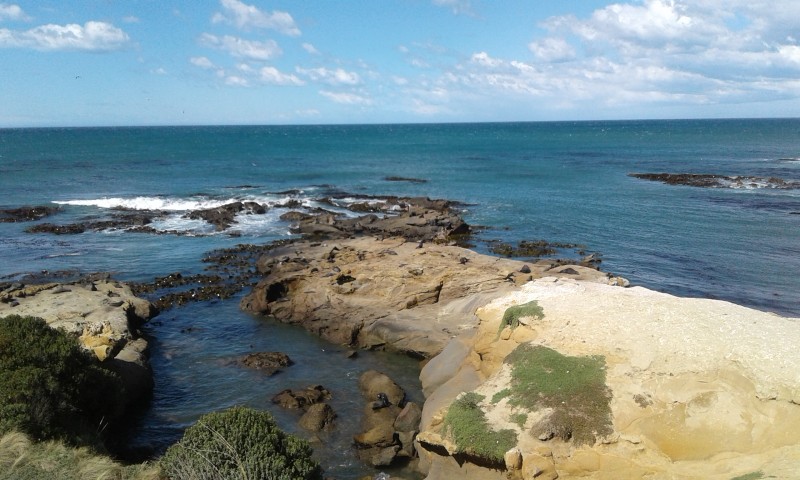 20160310_140817.jpg