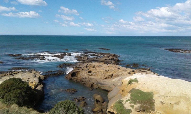 20160310_140831.jpg