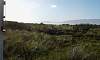 20160608_103318_135.jpg